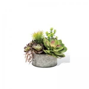 Plantes succulentes artificielles